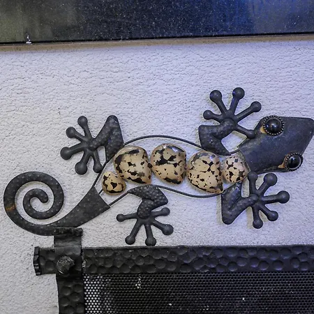 W Dolinie Slonca & * Kościelisko